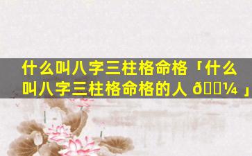 什么叫八字三柱格命格「什么叫八字三柱格命格的人 🐼 」